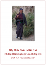 Đây Hoàn Toàn Là Kết Quả Những Hành Nghiệp Của Riêng Tôi