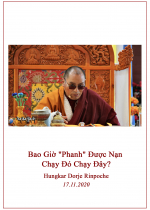 Phụng sự chúng sinh tức cúng dường chư Phật