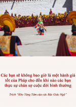 Các bạn sẽ không bao giờ là một hành giả tốt của Pháp cho đến khi nào các bạn thực sự chán sợ cuộc đời bình thường