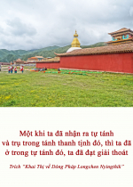 Một khi ta đã nhận ra tự tánh và trụ trong tánh thanh tịnh đó,  thì ta đã ở trong tự tánh đó, ta đã đạt giải thoát