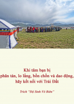 Khi tâm bạn bị phân tán, lo lắng, bồn chồn và dao động, hãy kết nối với Trái Đất