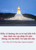 Hiểu vô thường cho ta trí tuệ hiểu biết thực tánh của vạn pháp tới mức không còn tha thiết với luân hồi nữa
