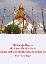 Nhiều bậc Đạo sư thị hiện viên tịch chỉ vì chúng sinh căn duyên chưa đủ để hóa độ