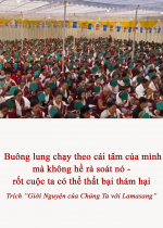  Buông lung chạy theo cái tâm của mình mà không hề rà soát nó - rốt cuộc ta có thể thất bại thảm hại
