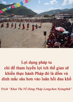 Lợi dụng pháp tu chỉ để tham luyến lợi ích thế gian sẽ khiến thực hành Pháp đó là dổm và dính mắc sâu hơn vào luân hồi đau khổ