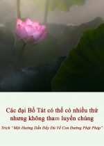 Các đại Bồ Tát có thể có nhiều thứ nhưng không tham luyến chúng