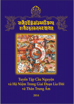 Phụng sự chúng sinh tức cúng dường chư Phật