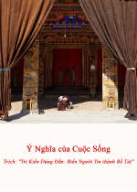 Ý Nghĩa của Cuộc Sống