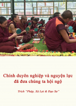 Chính duyên nghiệp và nguyện lực đã đưa chúng ta hội ngộ