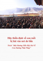 Hãy thiền định về con ruồi bị hút vào nơi dơ bẩn