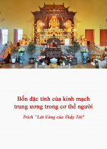 Bốn đặc tính của kinh mạch trung ương trong cơ thể người