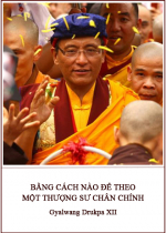 Bằng cách nào để theo một Thượng sư chân chính