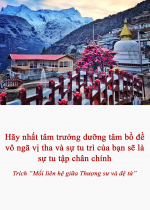 Hãy nhất tâm trưởng dưỡng tâm bồ đề vô ngã vị tha và sự tu trì của bạn sẽ là sự tu tập chân chính