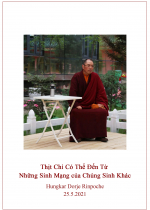 Thịt Chỉ Có Thể Đến Từ Những Sinh Mạng của Chúng Sinh Khác