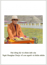 Phụng sự chúng sinh tức cúng dường chư Phật