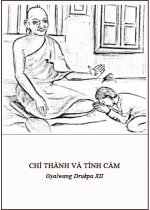 Chí Thành và Tình Cảm