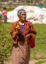 Trưởng dưỡng tâm từ bi trong đời sống một cách đều đặn là công phu của tất cả các đệ tử Phật 