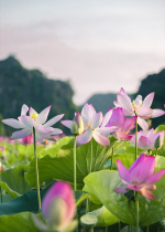 Tâm kham nhẫn giúp bạn có được hạnh vô úy và khả năng đối diện mọi thử thách, khổ đau