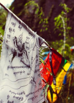 Vẫn thích chơi với bạn xấu dù biết rằng không nên chơi với họ đó là một sự yếu đuối đầy vô minh