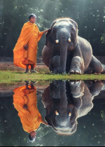 Bản tính của con người là thích nghe những lời đường mật nhưng ai chỉ ra cho ta sai lầm mới thực sự là người bạn nên trân quý