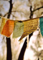 Chỉ khi có được từ bi của Bồ đề tâm tương đối thì Bồ đề tâm tuyệt đối – bản chất của Đại toàn thiện và Đại thủ ấn – mới có thể nảy sinh