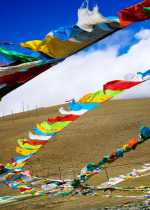 Cụ của tôi nói chuyện với hương linh bằng cả tấm lòng bi mẫn không gợn động cơ vị kỷ nên ông đã rời đi