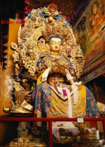 Theo Phật Giáo yêu thương là trao tặng tình yêu, hạnh phúc, an lành và nhận lấy khổ đau của chúng sinh khác