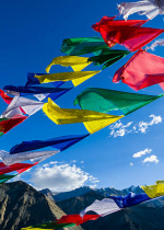 Mỗi người phải tự khám phá con đường tâm linh cho chính mình