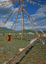  Nếu tôi ép buộc thì sẽ trở thành một hình thức tôn giáo - điều mà tôi không bao giờ muốn