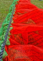 Người ta không khổ bởi các cảnh trần mà khổ vì tâm bám chấp nơi các cảnh trần