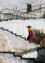  Để dạy Pháp phải được Đạo sư cho phép - không thể đọc sách để tinh thông giáo lý và tự coi mình là Đạo sư