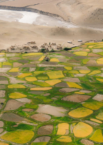 Khi nói về "một Lạt ma đích thực", ta không nói về một người được coi là Lạt ma, mà ta ta nói về một người thực sự có những phẩm tính đáng tin cậy để làm đạo sư