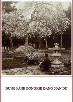 Đừng hành động khi đang giận dữ