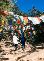 Là một đệ tử Kim Cang Thừa, chúng ta nên hiểu sâu sắc tất cả các Đạo Sư là một