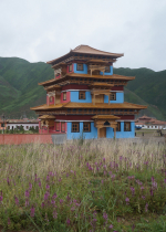 Tinh tấn còn là cảm nhận sự thích thú và nhiệt tâm đối với các thiện hạnh