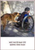 Một người bạn tốt không tính toán