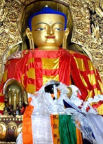 Ngoại Ngondro là phần quan trọng giúp chúng ta quyết tâm thoát khỏi luân hồi