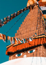 Nếu chúng ta chỉ giả vờ tu tập thì đó sẽ trở thành nguyên nhân để chúng ta đọa vào ba cõi thấp