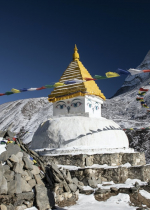 Quan trọng là cầu nguyện đến vị thầy của các bạn vào mọi lúc, mọi hoàn cảnh