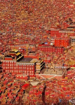 Bước đầu tiên của Quy y – chọc thủng bản ngã với bài kệ “Gọi Thầy”