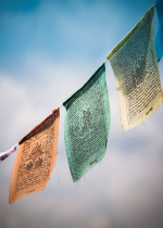 Coi tất cả mọi thứ là một phần đời sống của bạn là điều rất quan trọng và hữu ích - đây là một bài học vô cùng trọng yếu