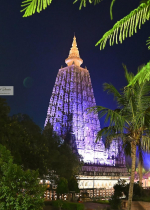 Câu chuyện một hành giả Dzogchen tái sanh làm con chó