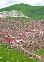 Mê mải chạy đuổi theo lạc thú thế gian thì so ra trong nhiều khía cạnh không khác gì hơn loài vật