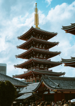 Hãy chào đón bất kỳ hoàn cảnh nào chúng ta gặp phải như là chất nuôi dưỡng cho sự thực hành của chúng ta