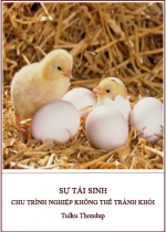 Sự tái sinh – chu trình nghiệp không thể tránh khỏi