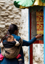 Ham mê ăn thịt thì khi đầu thai trong cõi súc sinh sẽ là một động vật hoang dã săn mồi