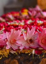 Không hiểu đúng đắn về nhân quả chúng ta sẽ chịu đau khổ và đau khổ còn quay lại nhiều lần