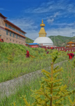 Nếu chúng ta đi tìm hạnh phúc cho bản thân thì chính ý nghĩ này là nguyên nhân dẫn đến khổ đau