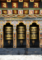 Chúng ta chỉ muốn tìm cầu cái gì đó ở bên ngoài chứ không phải là Phật pháp  