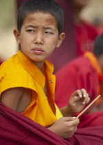 Cần phát động cơ với tâm Bồ Đề khi làm bất cứ việc gì